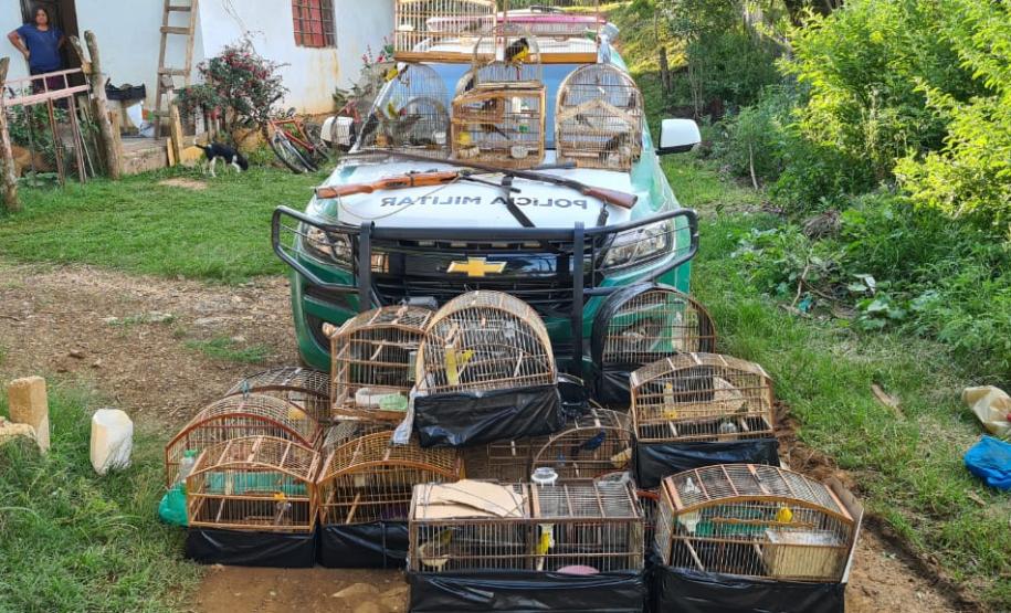Nas águas e nas matas do Litoral, Polícia Ambiental faz oito prisões e resgata 174 aves silvestres nos primeiros 10 dias de Verão Consciente