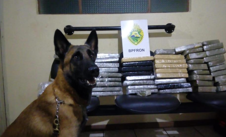 Em Realeza (PR), dois adolescentes são apreendidos com mais de 50 tabletes de maconha em ônibus de viagem