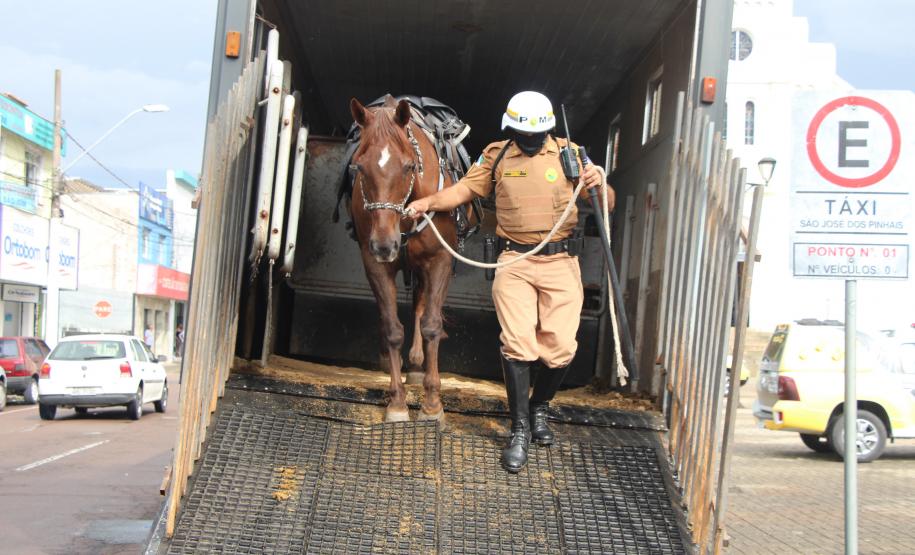 São José dos Pinhais, na RMC, recebe mais uma Operação Integrada do programa Em Frente Brasil