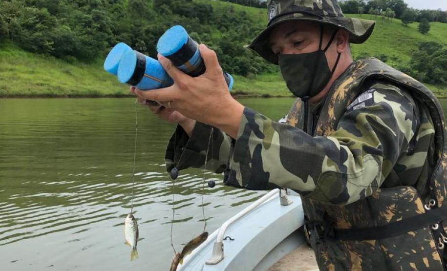 Operação apreende 48 quilos de peixes nativos em Ortigueira