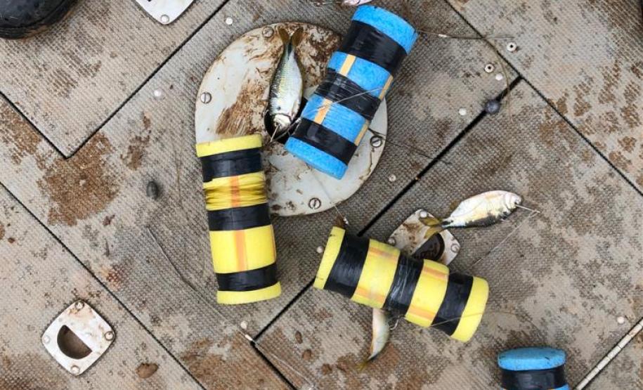 Operação apreende 48 quilos de peixes nativos em Ortigueira