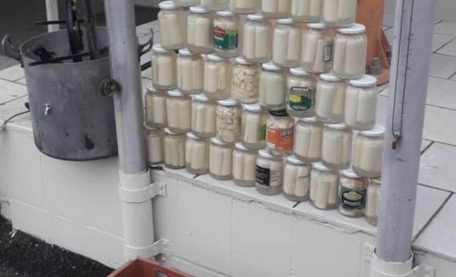 Nas águas e nas matas do Litoral, Polícia Ambiental faz oito prisões e resgata 174 aves silvestres nos primeiros 10 dias de Verão Consciente