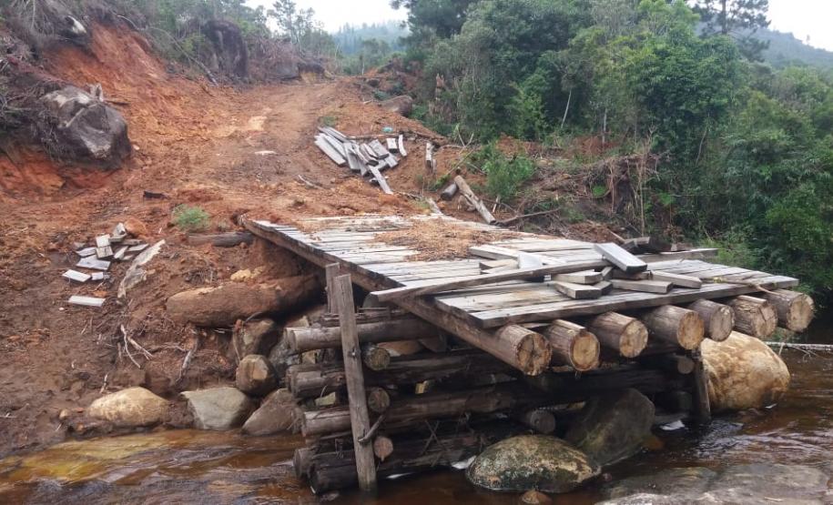 Nas águas e nas matas do Litoral, Polícia Ambiental faz oito prisões e resgata 174 aves silvestres nos primeiros 10 dias de Verão Consciente