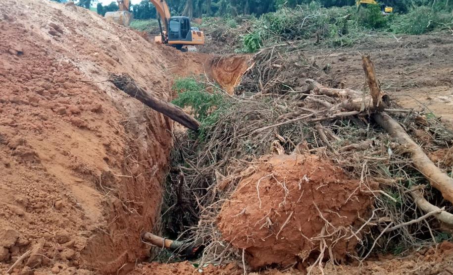 Destruição de mata nativa no Norte Pioneiro resulta em multa, apreensão e prisão