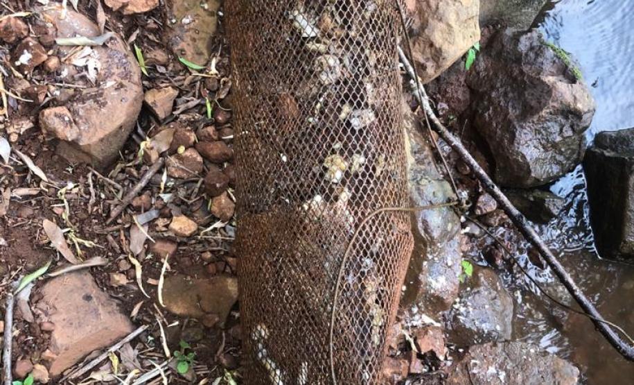 Operação da Polícia Ambiental no Sudoeste do estado recupera Jet Ski furtado e equipamentos usados em pesca ilegal