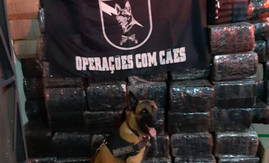 BPFron faz a maior apreensão de drogas da história da unidade em Toledo ao localizar depósito com 12,7 toneladas de maconha