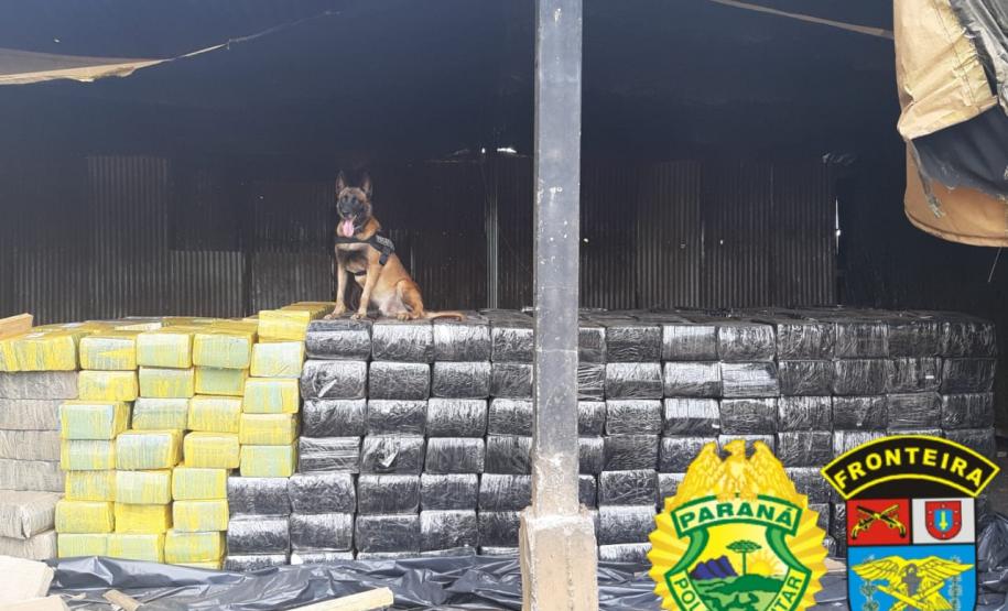 BPFron faz a maior apreensão de drogas da história da unidade em Toledo ao localizar depósito com 12,7 toneladas de maconha