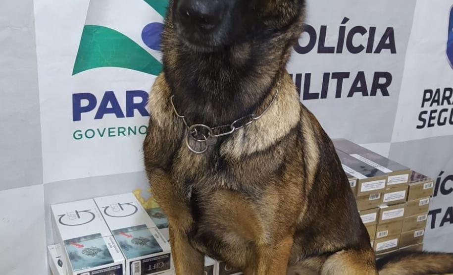 BPFron apreende 500 quilos de agrotóxicos, drogas e contrabando no Oeste do estado durante a Operação Hórus