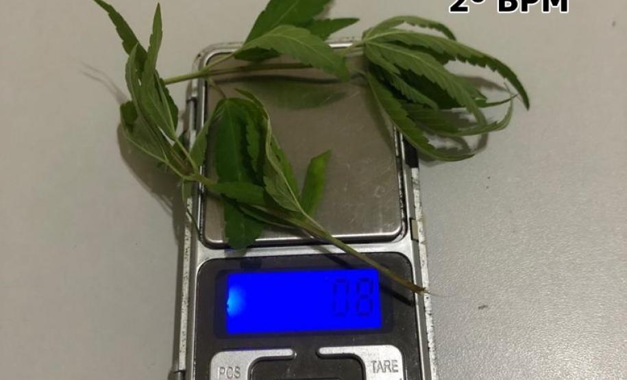 No Norte Pioneiro, PM apreende 750 maços de cigarros contrabandeados, maconha e cocaína em situações distintas