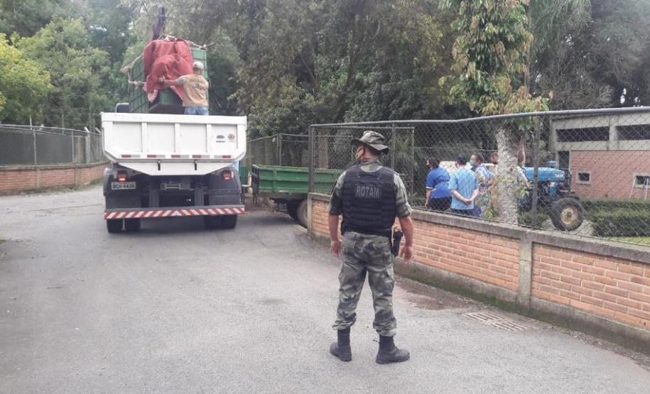 Polícia Ambiental presta apoio na remoção de tigre da Malásia e papagaios para o Zoológico de Curitiba