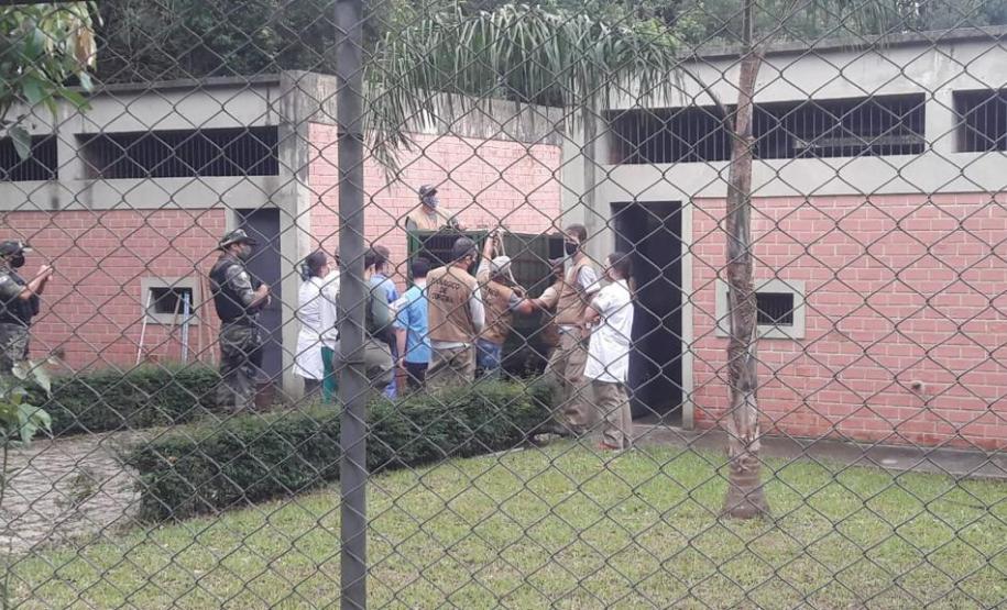Polícia Ambiental presta apoio na remoção de tigre da Malásia e papagaios para o Zoológico de Curitiba