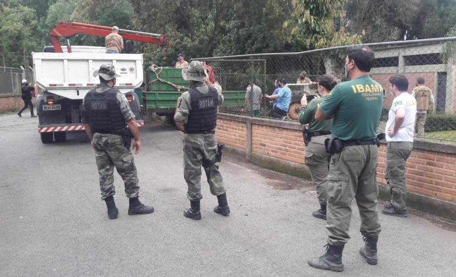 Polícia Ambiental presta apoio na remoção de tigre da Malásia e papagaios para o Zoológico de Curitiba