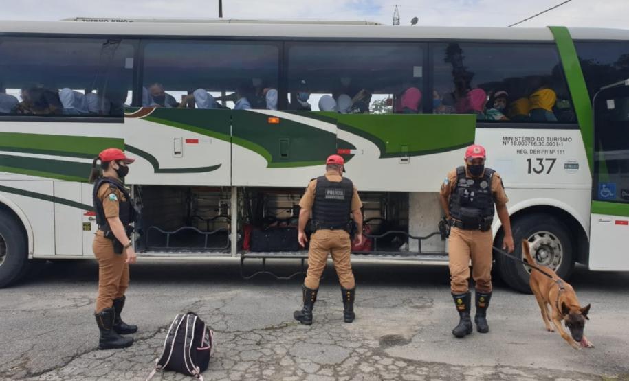 Polícia Rodoviária fiscaliza acesso ao Litoral com cães de faro e apreende maconha e ecstasy durante a Operação Vida