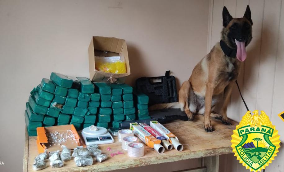 Batalhão da PM apreende mais de 2 mil maços de cigarro contrabandeado e apreende arma de fogo em ações separadas nos Campos Gerais