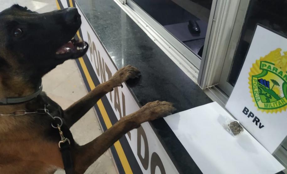 Policiais Rodoviários Estaduais encaminham duas pessoas por porte de maconha e Mandado de Prisão, em ações distintas