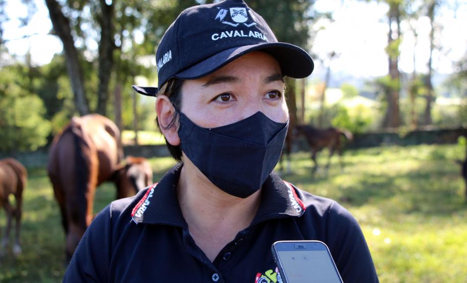 Regimento de Polícia Montada (RPMon) inicia treinamento de nove potros nascidos na unidade