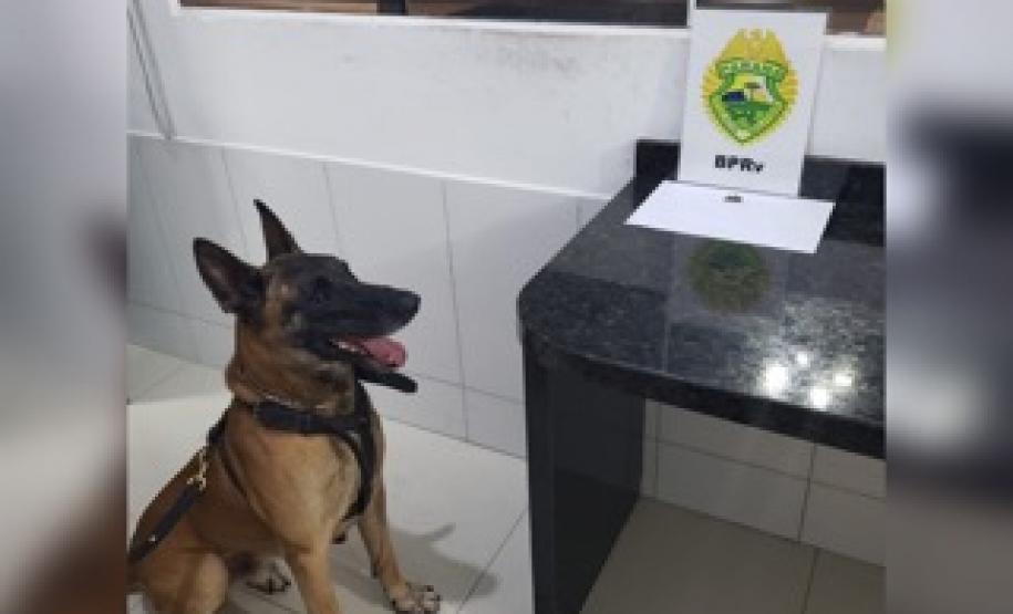 BPRv apreende eletrônicos contrabandeados e maconha em situações distintas durante a Operação Vida no estado