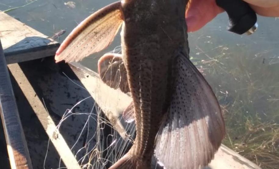 Batalhão Ambiental apreende diversos materiais de pesca e caça ilegal no Alagado de Salto Santiago, no Sudoeste do estado