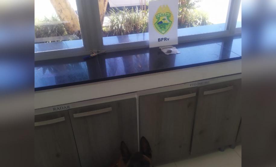 Cães de faro da Polícia Rodoviária localizam drogas em ônibus de viagem e dois homens são encaminhados no litoral