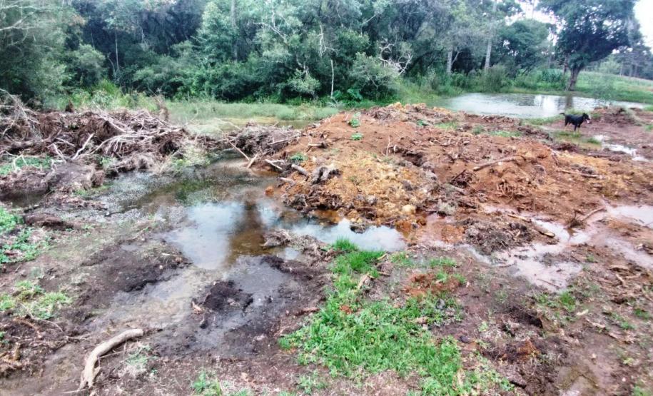 Em Imbituva (PR), Batalhão Ambiental autua suspeito de destruir vegetação nativa em mais de R$ 120 mil