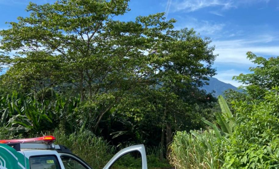 Polícia Ambiental apreende balão de sete metros que caiu em meio à mata, nas margens da BR 277