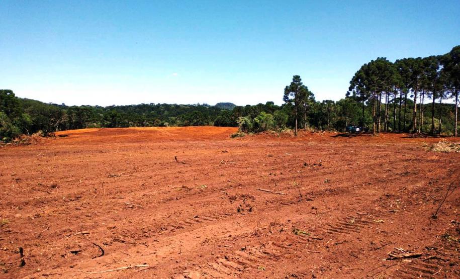 Trio é autuado em quase R$ 100 mil por destruição de vegetação nativa em Guarapuava (PR)