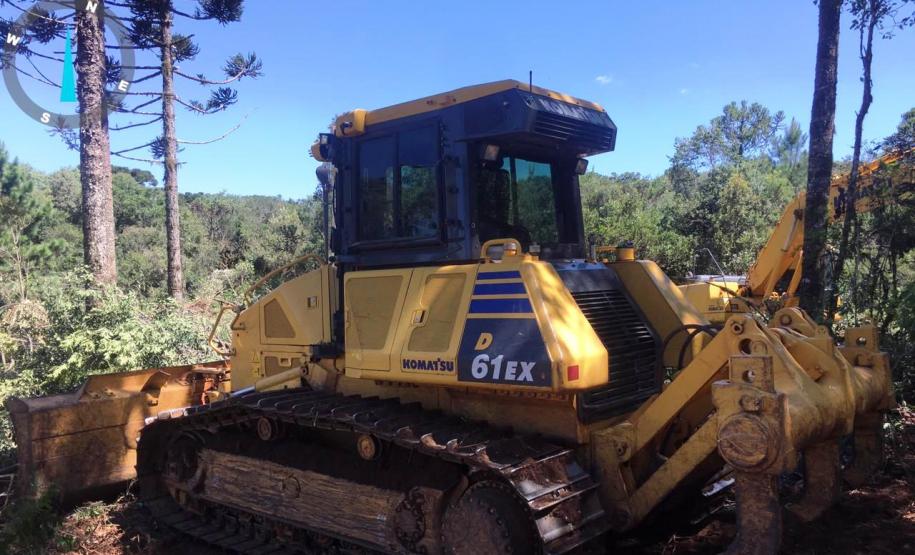 Trio é autuado em quase R$ 100 mil por destruição de vegetação nativa em Guarapuava (PR)