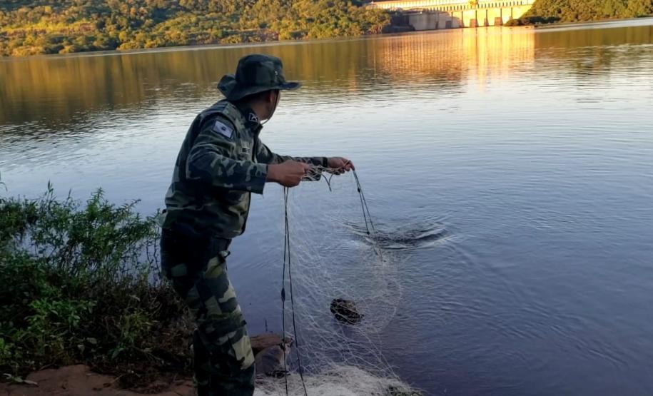 Trio é autuado em quase R$ 100 mil por destruição de vegetação nativa em Guarapuava (PR)
