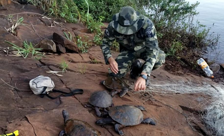 Trio é autuado em quase R$ 100 mil por destruição de vegetação nativa em Guarapuava (PR)