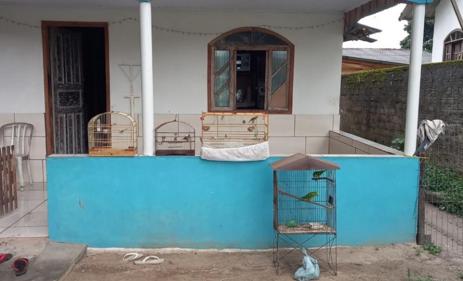 Polícia Ambiental combate descarte de resíduos a céu aberto e resgata aves silvestres no Litoral