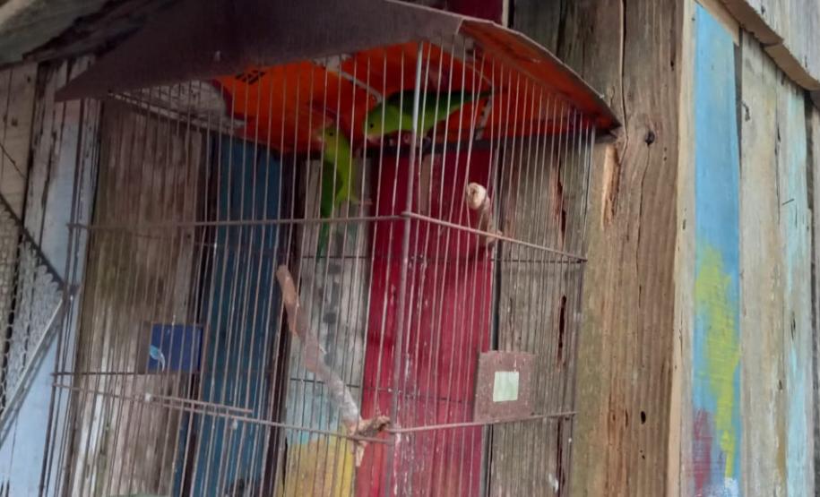 Polícia Ambiental combate descarte de resíduos a céu aberto e resgata aves silvestres no Litoral