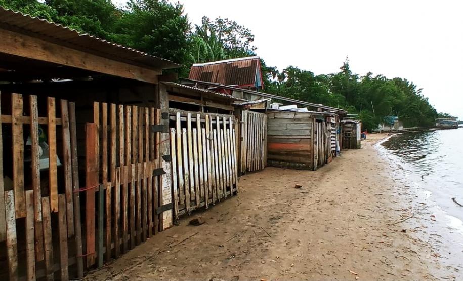 Fiscalização da Polícia Ambiental localiza ocupação irregular em área de proteção ambiental permanente em Paranaguá (PR)