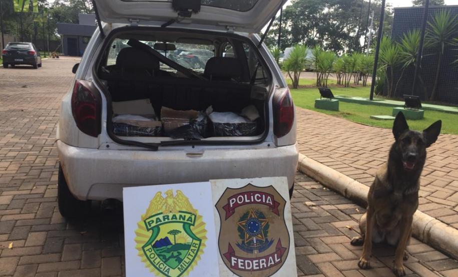 BPFron apreende suplementos alimentares em Terra Roxa (PR), no Oeste do estado