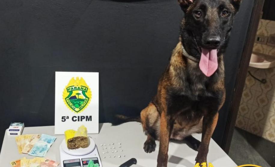Cão policial da PM entrega esquema de suspeitos ao localizar crack escondido embaixo de uma pedra, em Cianorte (PR)