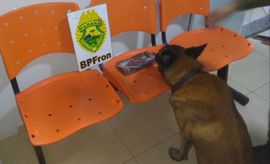 Ações distintas da Operação Hórus no Oeste e Noroeste do estado resultam na apreensão de diversos produtos eletrônicos e drogas