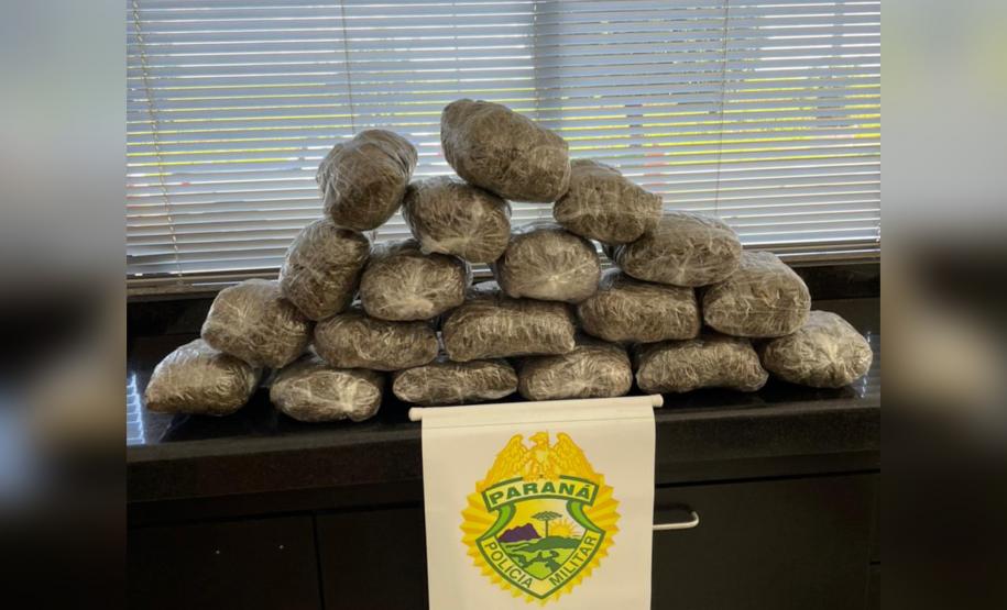 Em situações distintas, BPRv apreende mais de 10 quilos de skunk e um pé de maconha em situações distintas