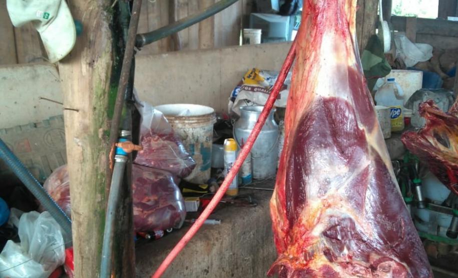 Abatedouro clandestino de cavalos é desmantelado pela PM em Quitandinha, no Sudeste do Paraná