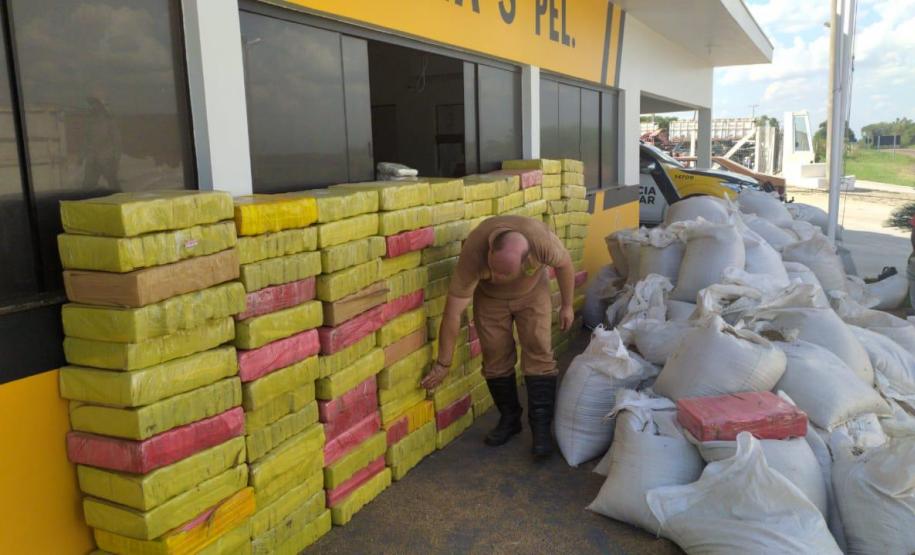 Maior apreensão de maconha do ano é localizada pelo BPRv em meio à carga de sementes