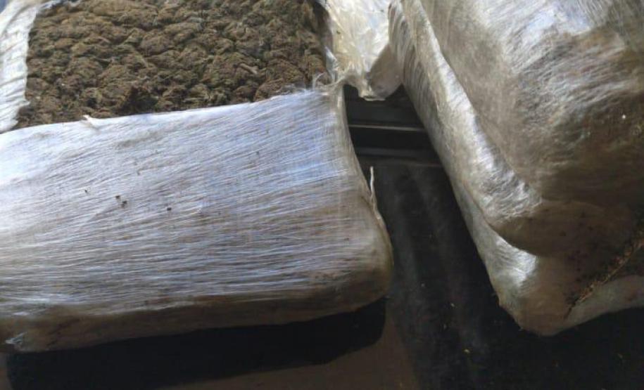 Maior apreensão de maconha do ano é localizada pelo BPRv em meio à carga de sementes
