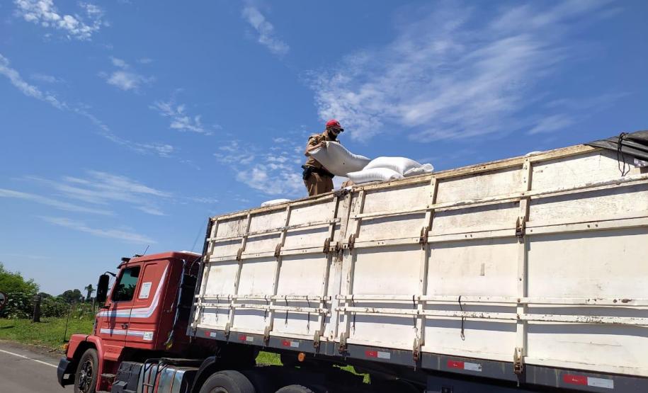 Maior apreensão de maconha do ano é localizada pelo BPRv em meio à carga de sementes