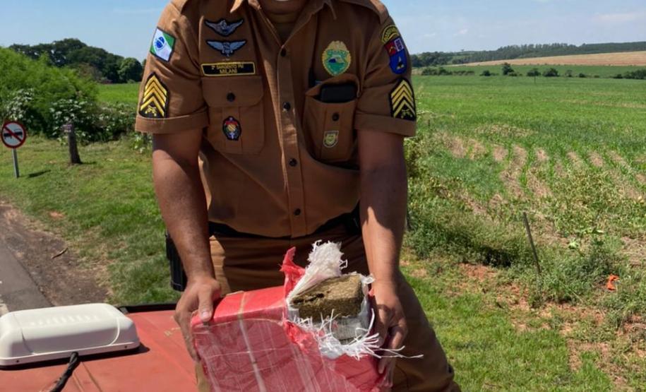 Maior apreensão de maconha do ano é localizada pelo BPRv em meio à carga de sementes