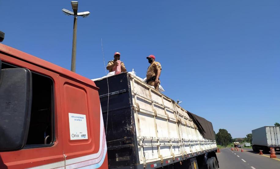 Maior apreensão de maconha do ano é localizada pelo BPRv em meio à carga de sementes