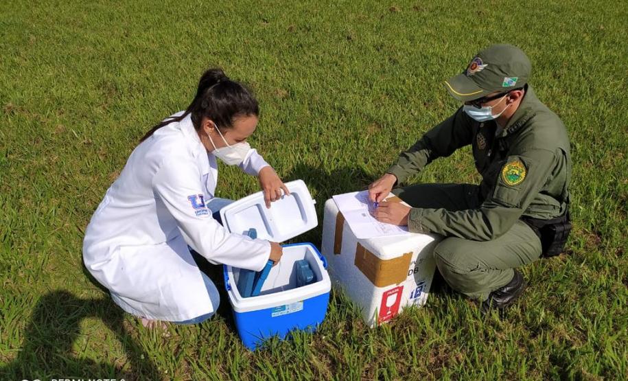 Aeronaves da PM levam vacinas e insumos para municípios do Interior do Paraná