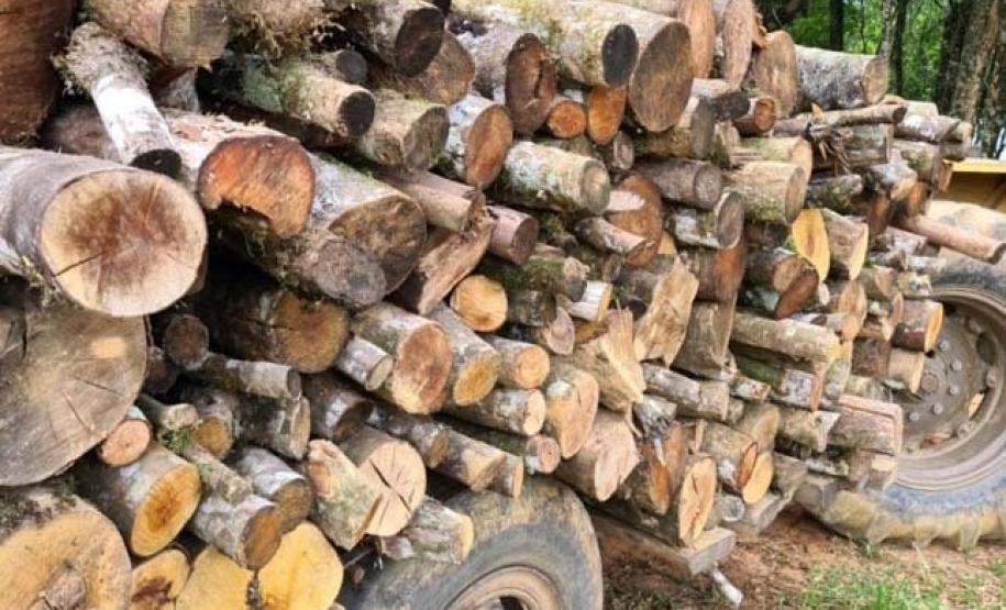 ​Polícia Ambiental reforça ações e atende 15 mil ocorrências em 2020