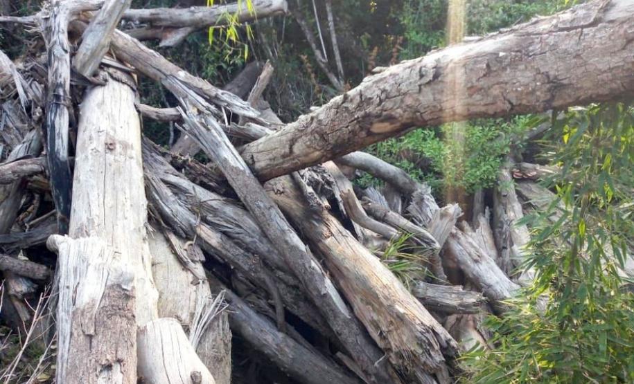 ​Polícia Ambiental reforça ações e atende 15 mil ocorrências em 2020