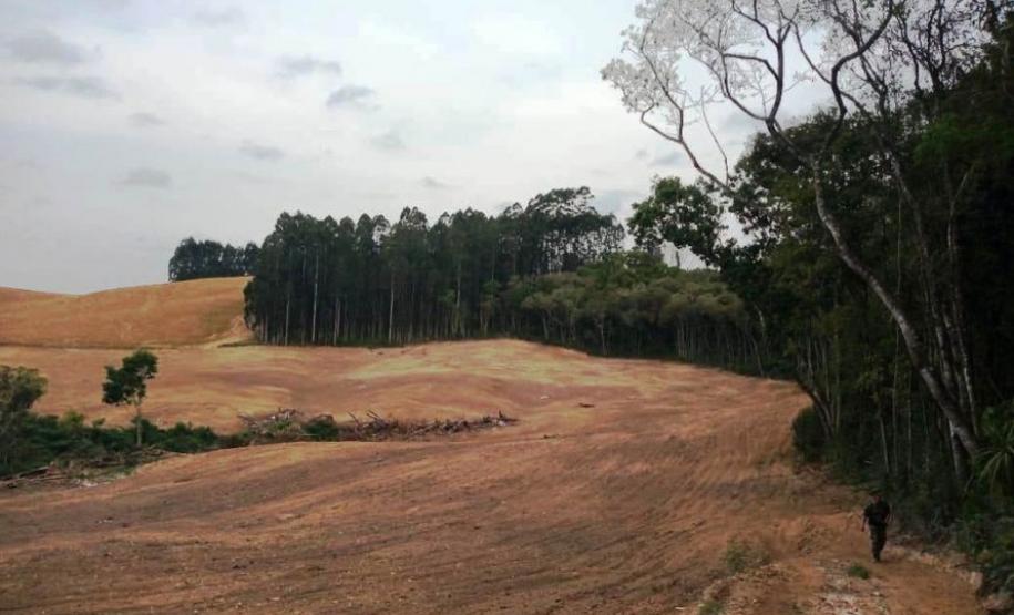 ​Polícia Ambiental reforça ações e atende 15 mil ocorrências em 2020