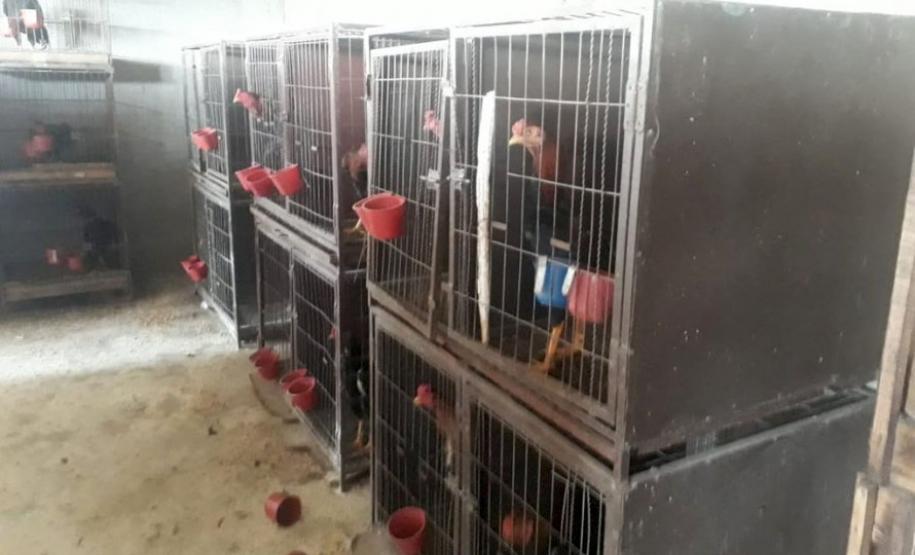 ​Polícia Ambiental reforça ações e atende 15 mil ocorrências em 2020