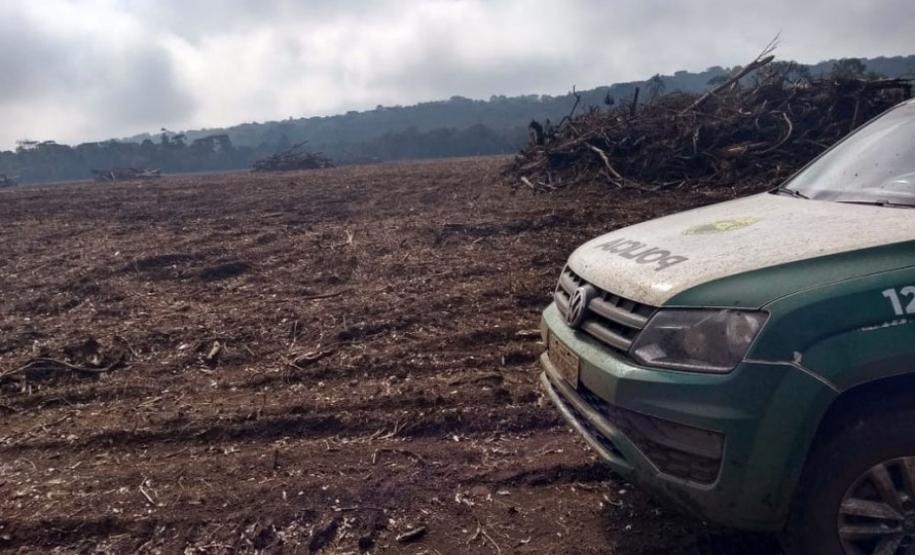 ​Polícia Ambiental reforça ações e atende 15 mil ocorrências em 2020