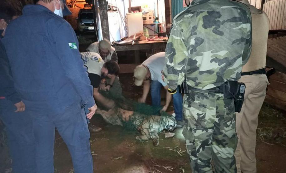 ​Polícia Ambiental reforça ações e atende 15 mil ocorrências em 2020