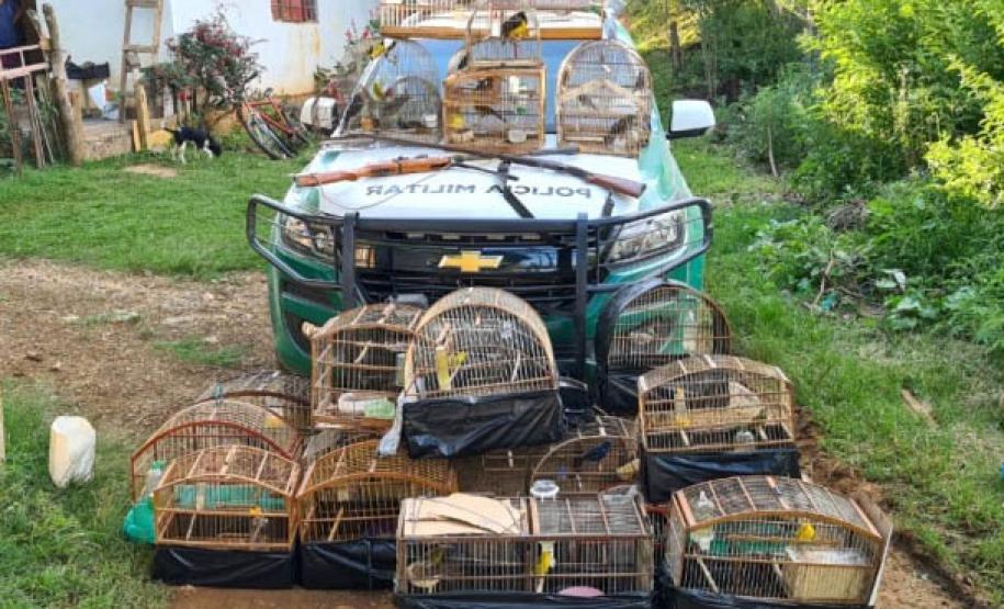 ​Polícia Ambiental reforça ações e atende 15 mil ocorrências em 2020